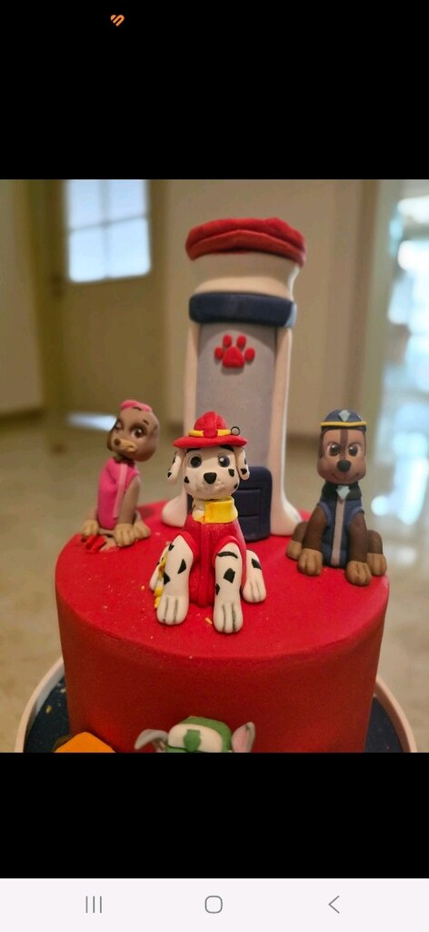 Paw Patrol dogum gunu konsepti - 3