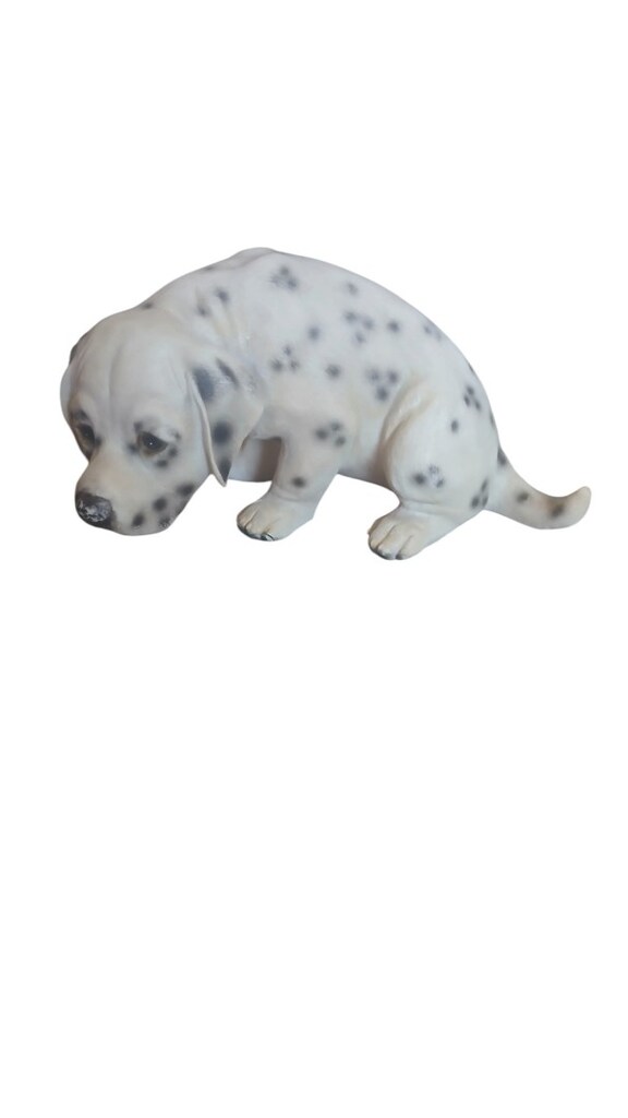 dekor köpek - 6