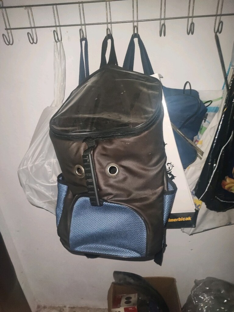 evcil hayvan taşıma çantası