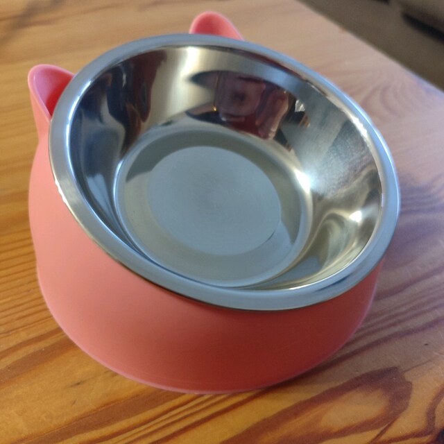 kedi mama kabı
