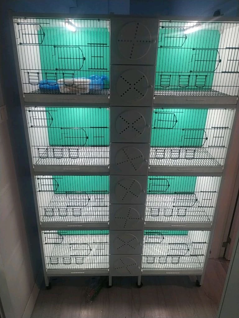 4 Katlı 8 Çift Kapasiteli PVC Kuş Kafesi – Kendinden Yuvalıklı - 7