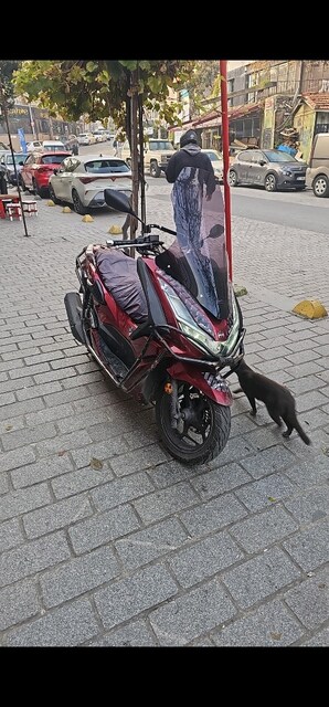 PCX 2022