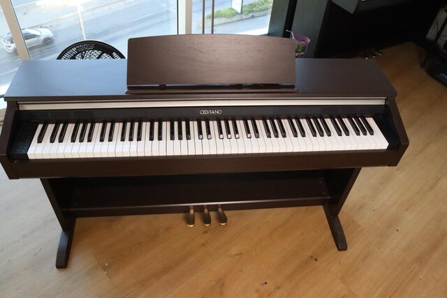 casio ap 220 rw dijital piyano tertemiz soeunsuz bakimlar yeni yapildi
