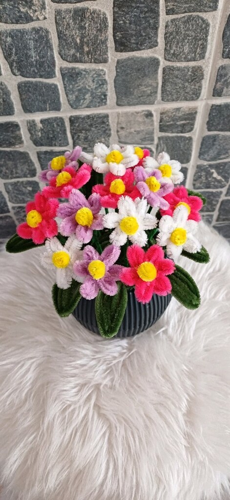 Saksılı Solmayan çiçek - 7