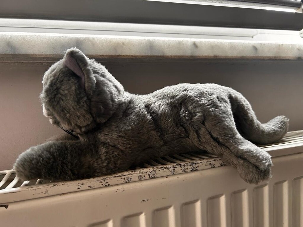 Ikea oyuncak kedi - 13