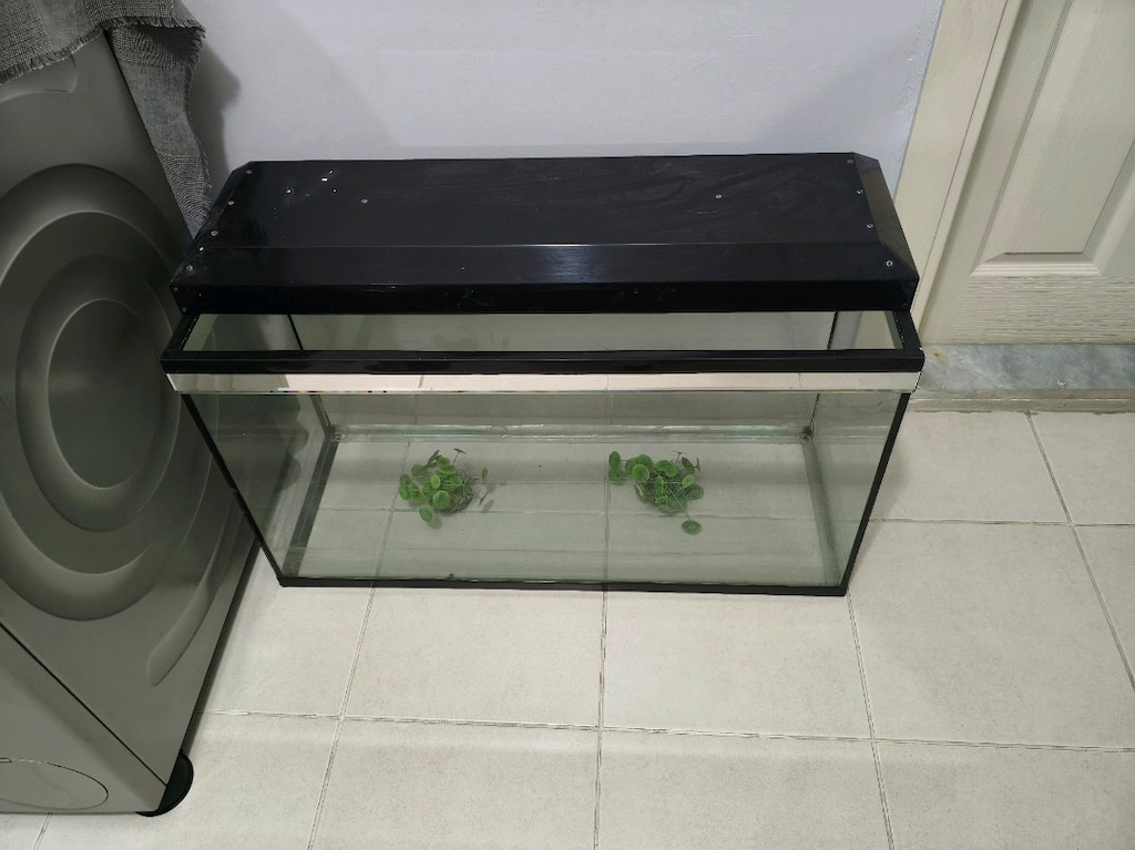 Büyük Boy Akvaryum - 4