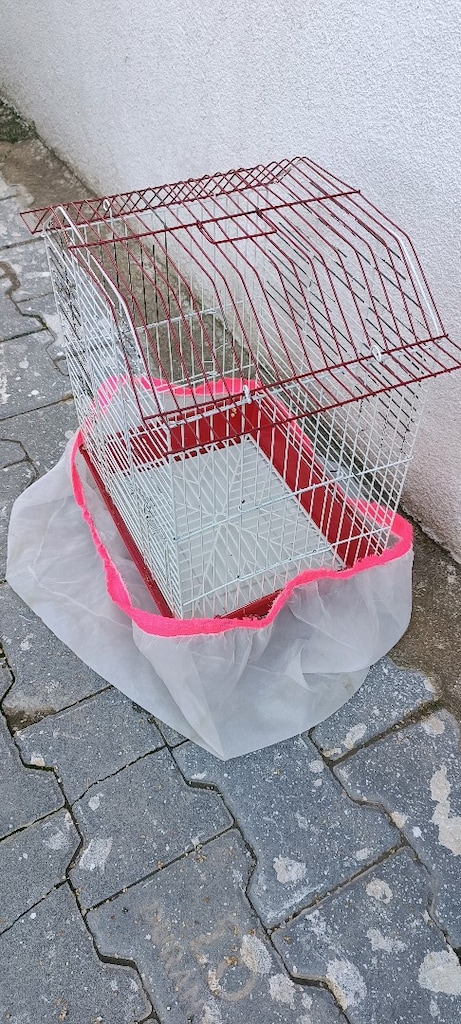 Temiz kuş kafesi - 3