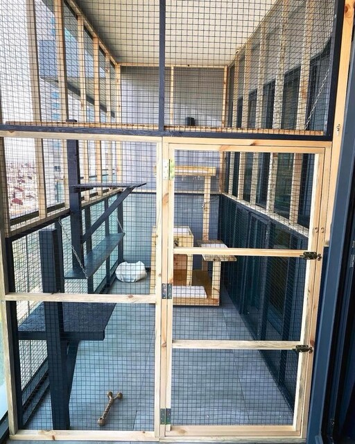kedi balkon filesi