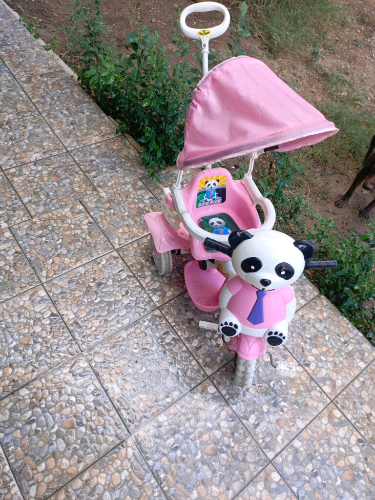 Panda Temalı, Tenteli Çocuk Bisikleti – 3 Tekerlekli” - 2