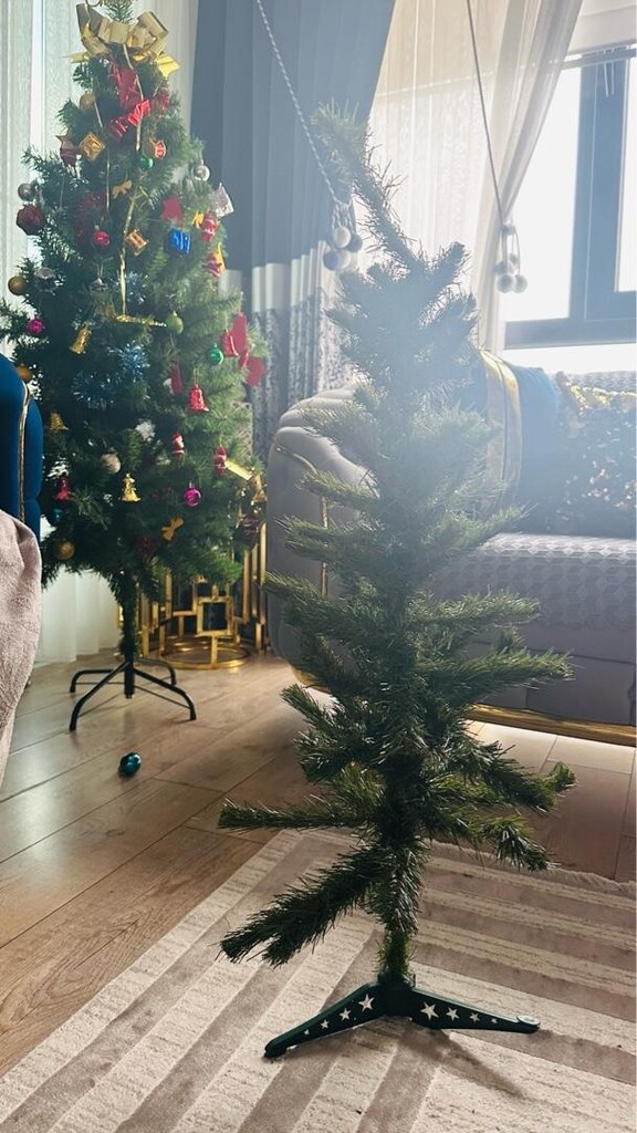 yılbaşı ağacı çam ağacı