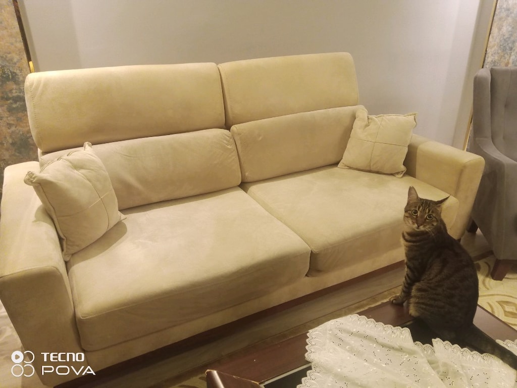Acil ... Salon Takımı 2 adet üçlü 1 berjer - 5