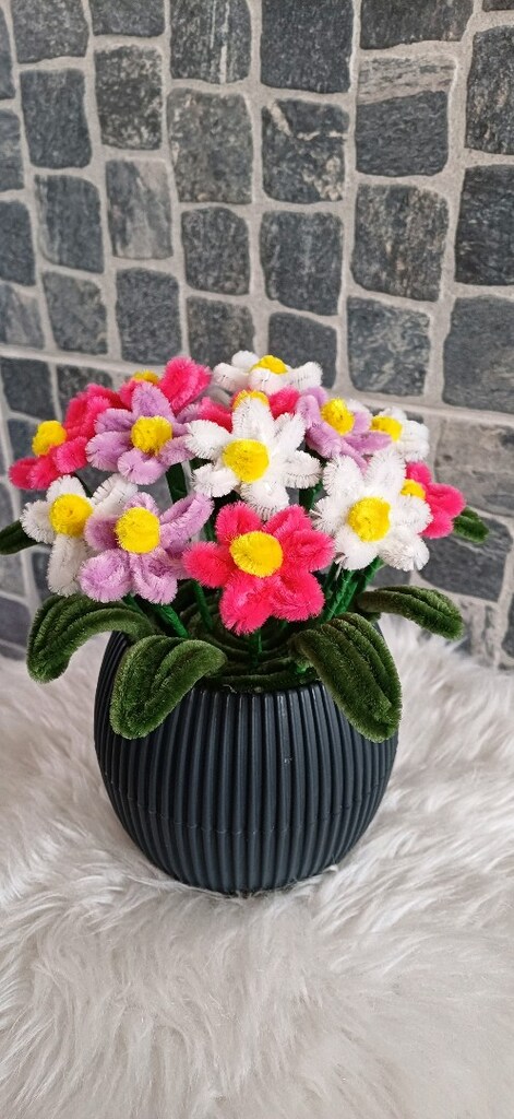 Saksılı Solmayan çiçek - 4