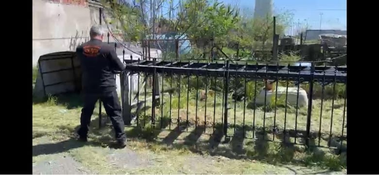 D 4 metre dövme demir el yapımı Ferforje kapı - 6