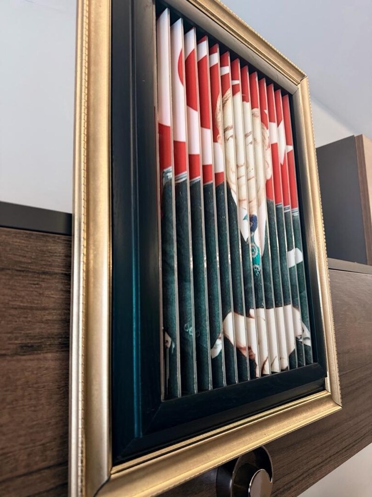 Bozkurt görünümlü 3 farklı görünümlü Koleksiyonluk tablo - 4