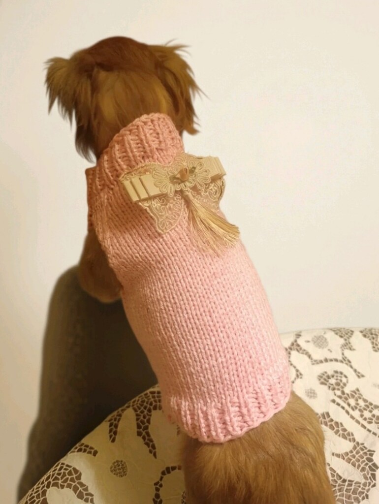 köpek giyim kazak - 4