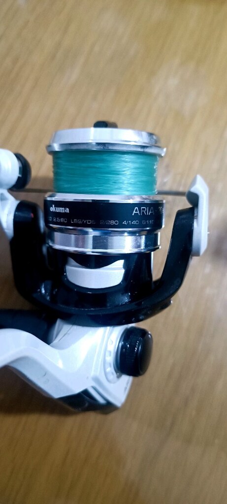 Okuma Arıa 20 a - 2