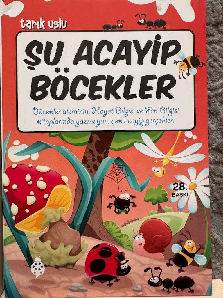 ORTAOKUL SEVİYESİNE UYGUN ÖNERİLEN 10 ÇOCUK KİTABI - 11