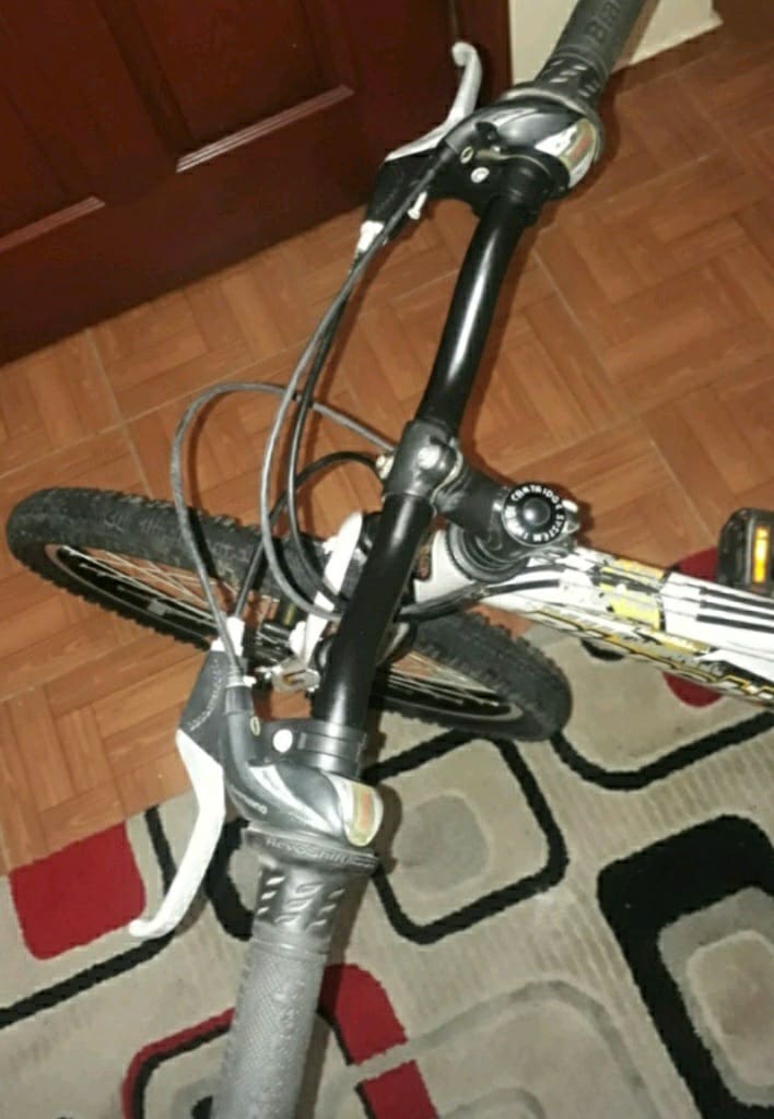 Bianchi Bisiklet - 4