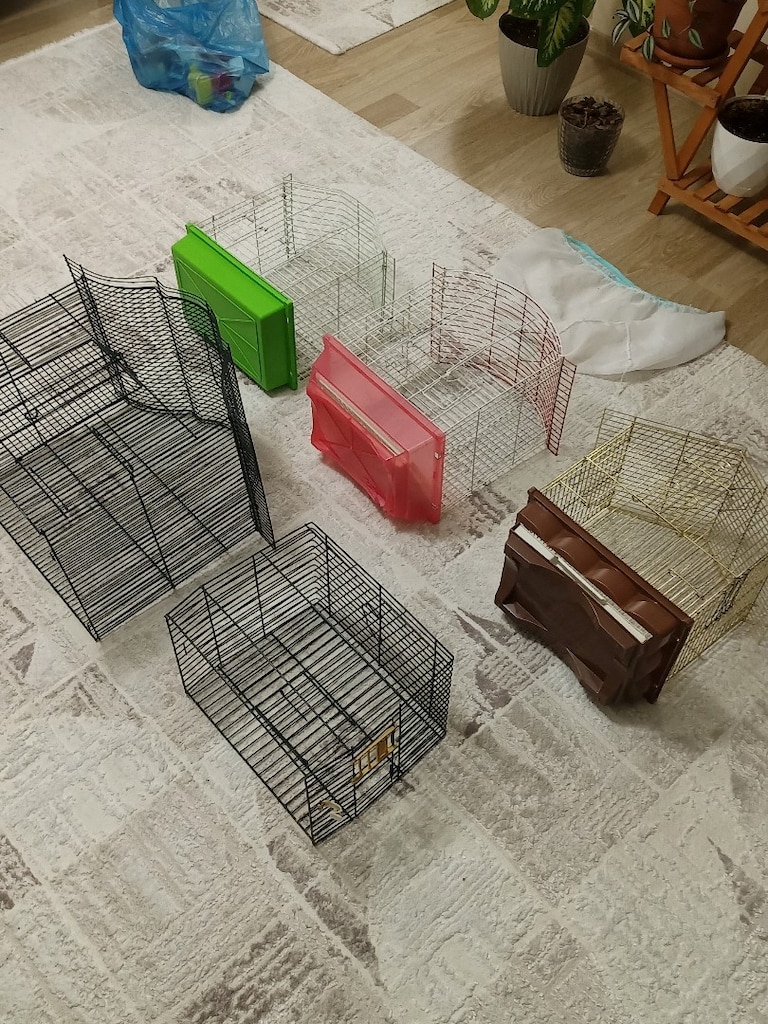 5'li Kuş Kafesi Seti + Bol Aksesuar - 2