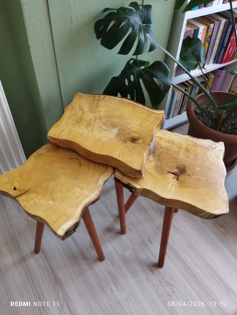 Doğal kütük sehpa Dut ağacı - 2