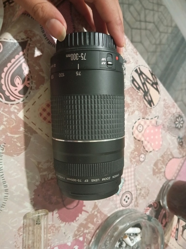 Canon EF 75-300 lens