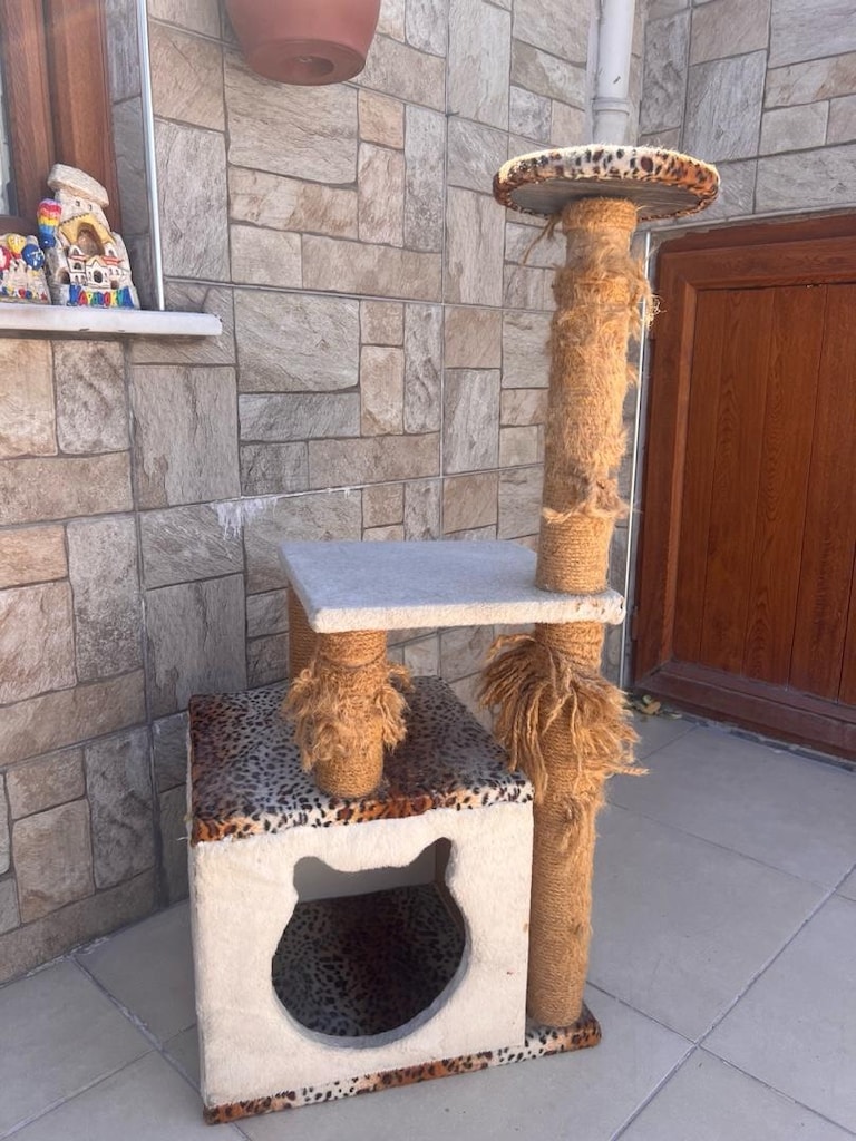 kedi evi - 6