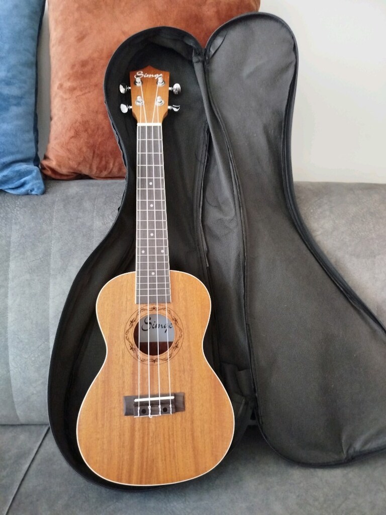 Ukulele - 4