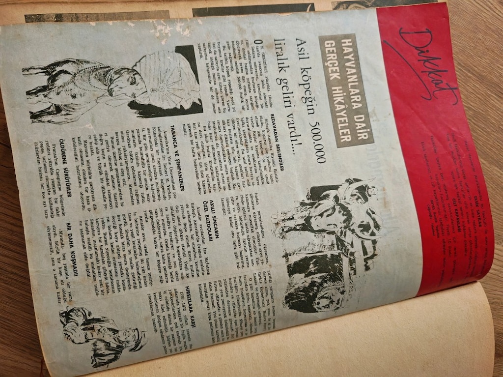 1966 Nisan Baskısı Hayat Hayvanlar Ansiklopedisi – Tek Cilt, Eski Bası - 7