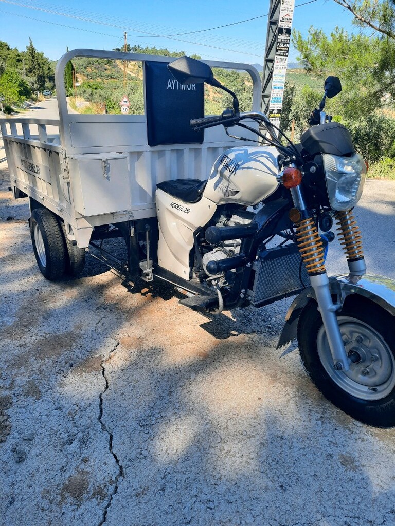 üç tekerlekli kasalı motorsiklet - 2