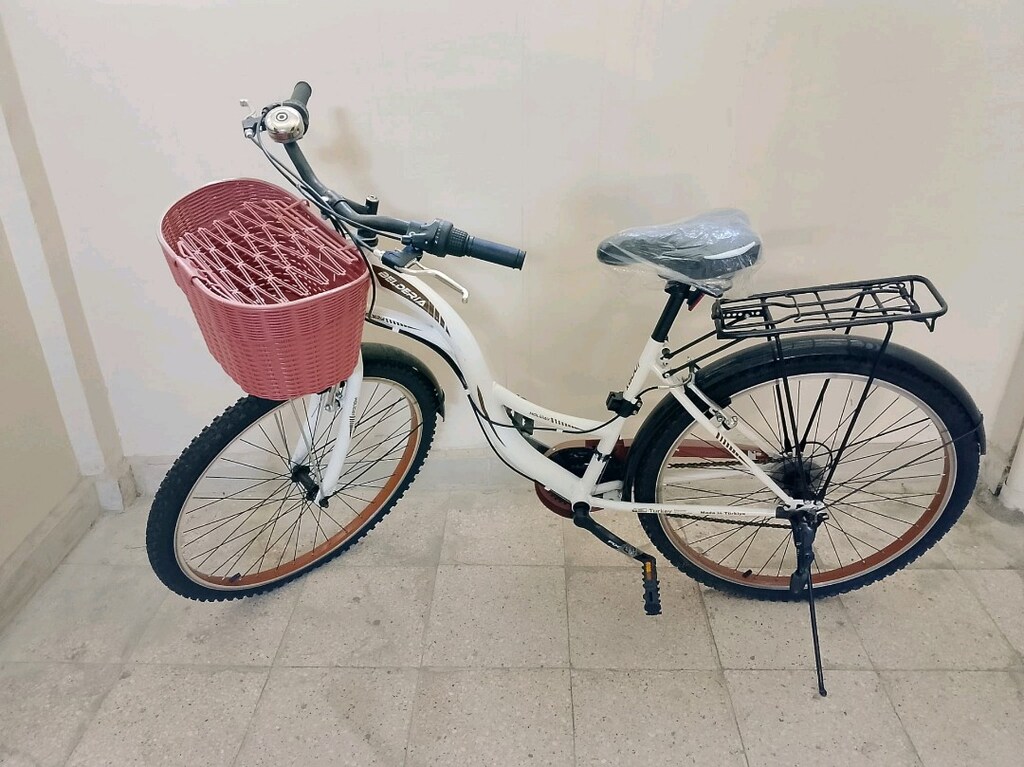 Belderia Şehir Bisikleti - 3