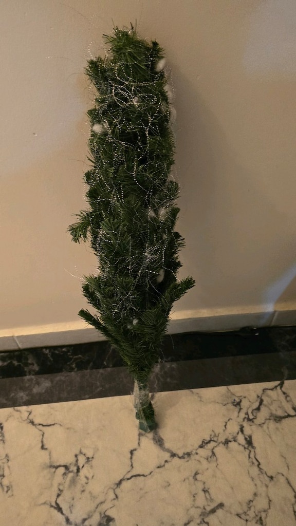 YİBAŞİ AĞACİ 80 cm - 2