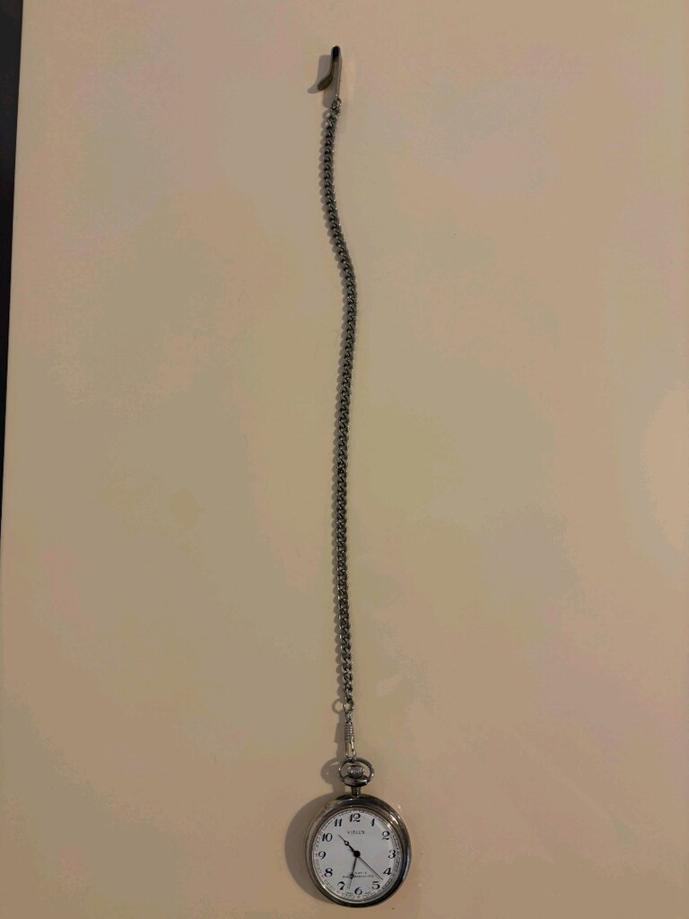vialux 17 jewels shoch protected cep saati - 6