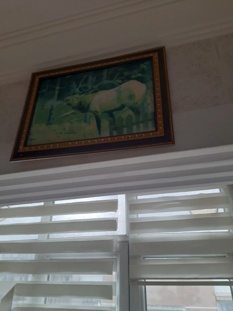 tablo 250