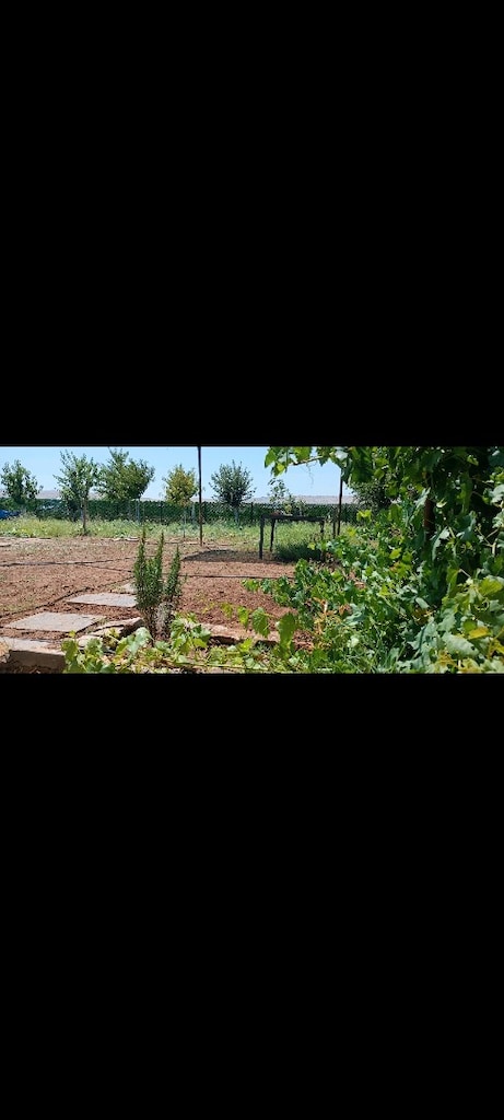 çok acil satılık binatlı köyüne hemen yakın kurulu bahçe - 3