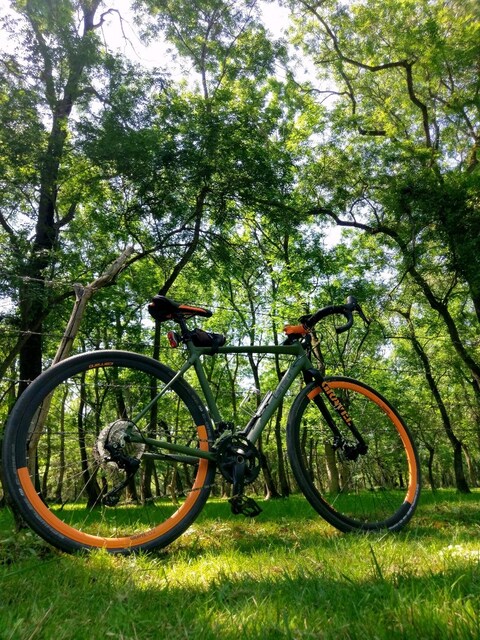 Carraro Gravel G2