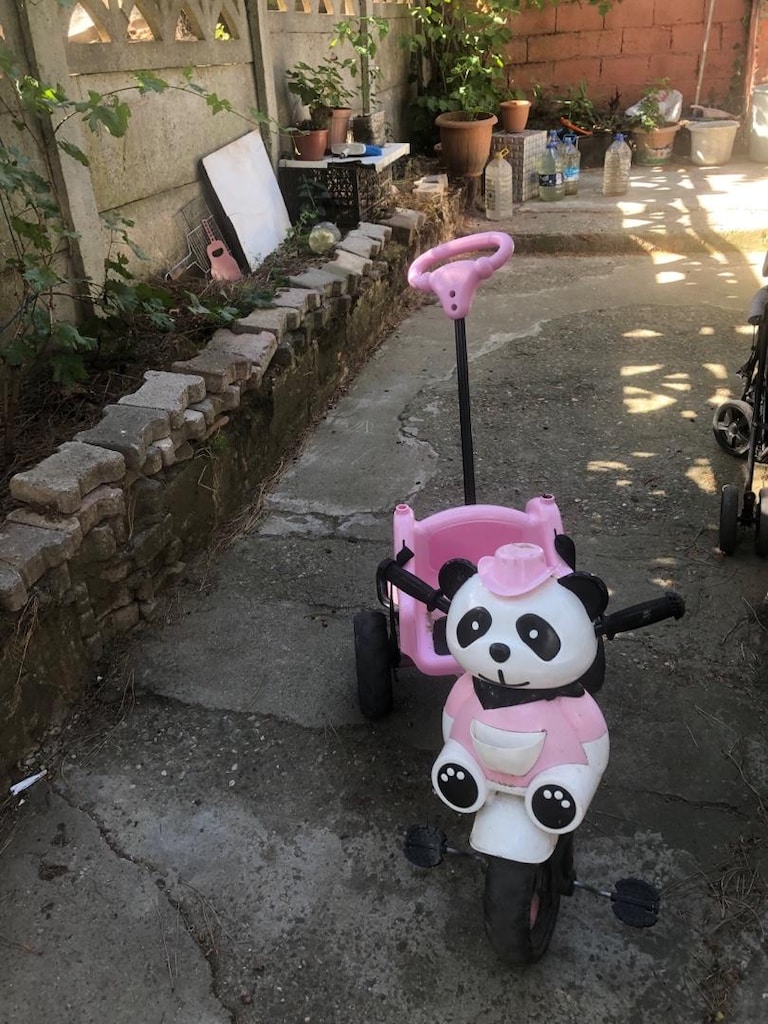 baston bebek arabası ve üç tekerlekli bisiklet - 2