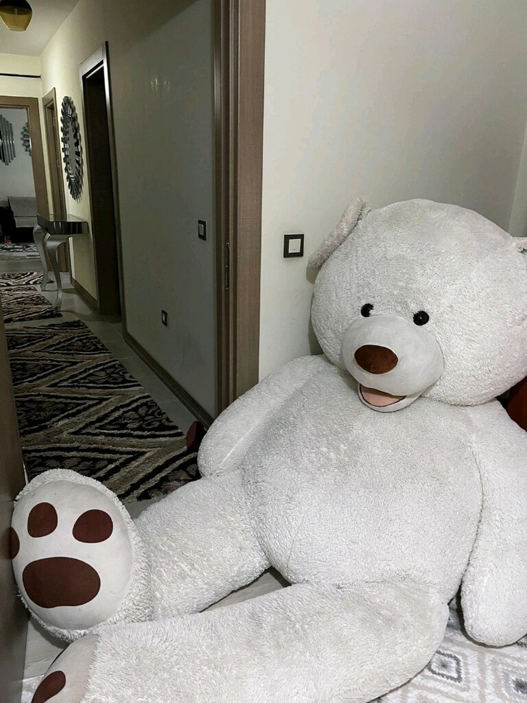 180 cm dev ayı - 5