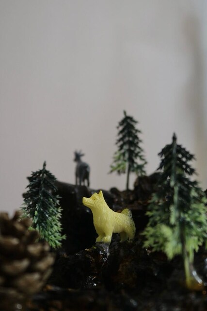 diorama minyatür orman tasarımı