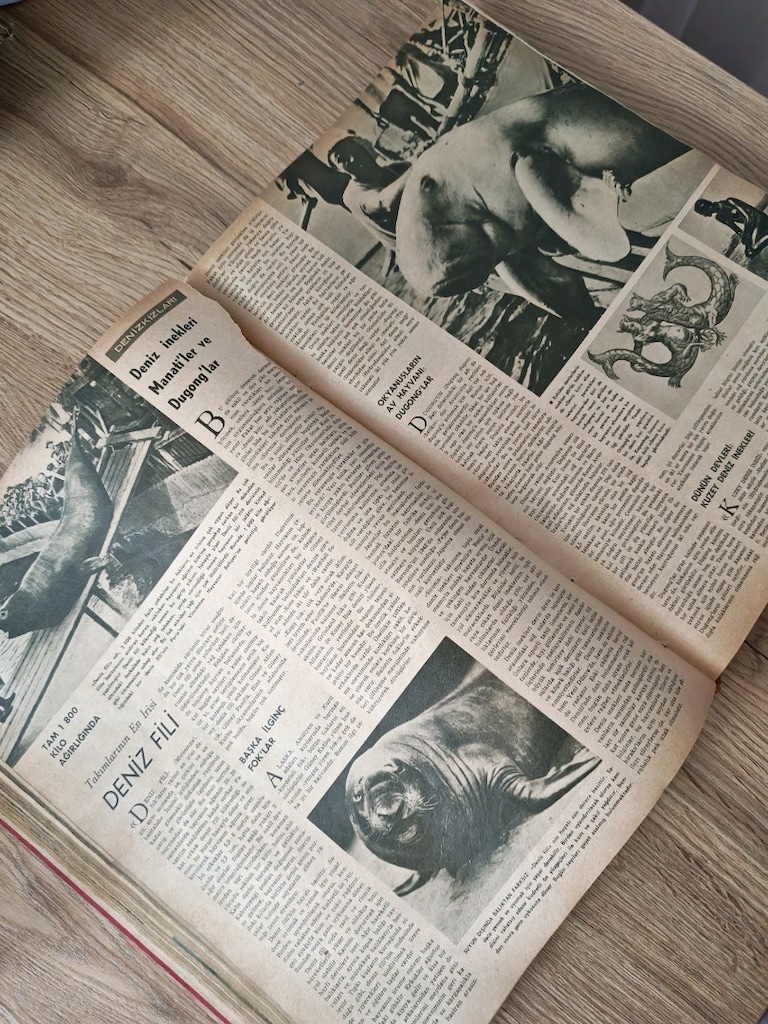 1966 Nisan Baskısı Hayat Hayvanlar Ansiklopedisi – Tek Cilt, Eski Bası - 2