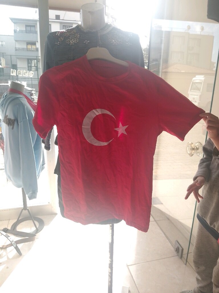 toptan satlik 300 adet bayram Atatürk baskılı tsort - 6