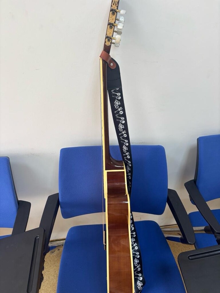 Wasburn EACT12 Elektro Klasik Gitar - 6