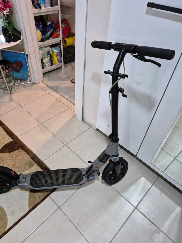 Scoter - 2