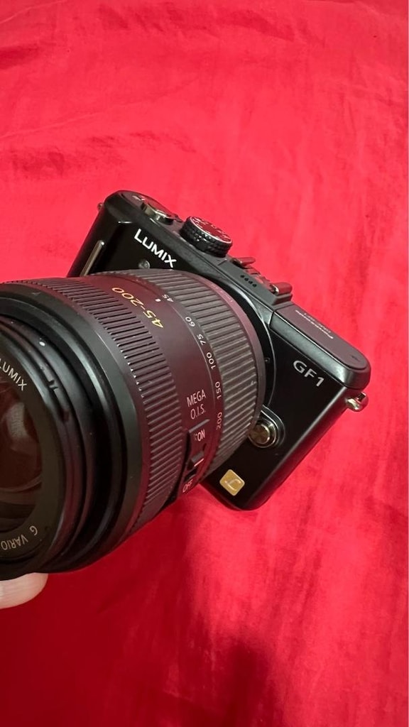 Panasonic DMC-GF1 (Aynasız) - 2