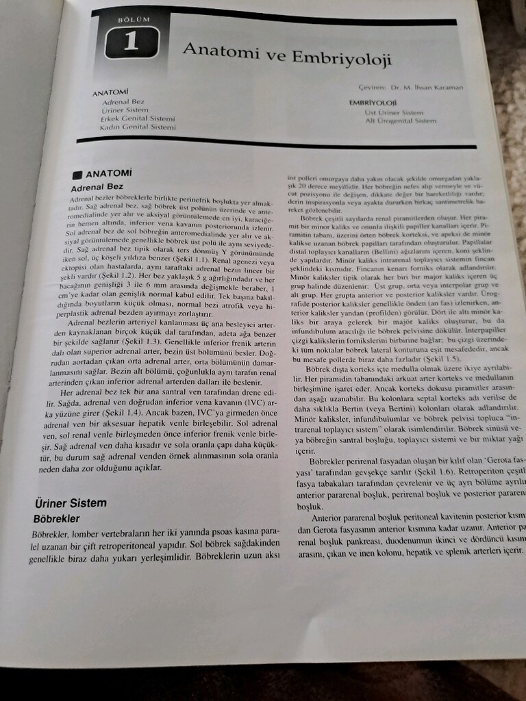 ÜRORADYOLOJI - 2