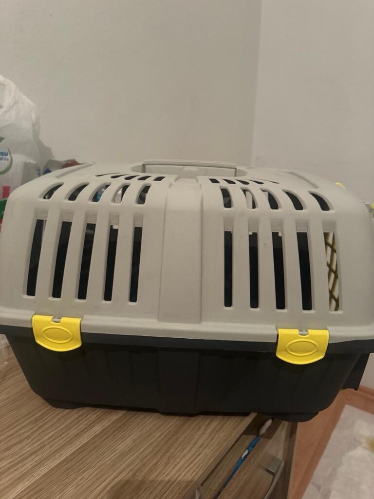 kedi köpek box - 3