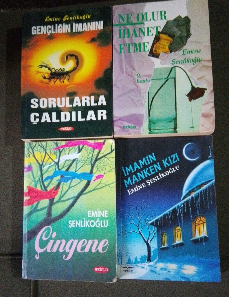 EMİNE ŞENLİKOĞLU KİTAPLARI - 4