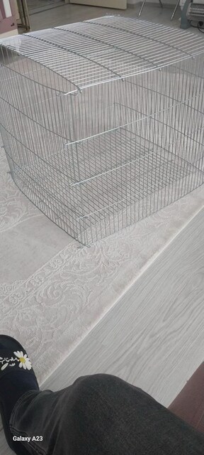 köpek çiti