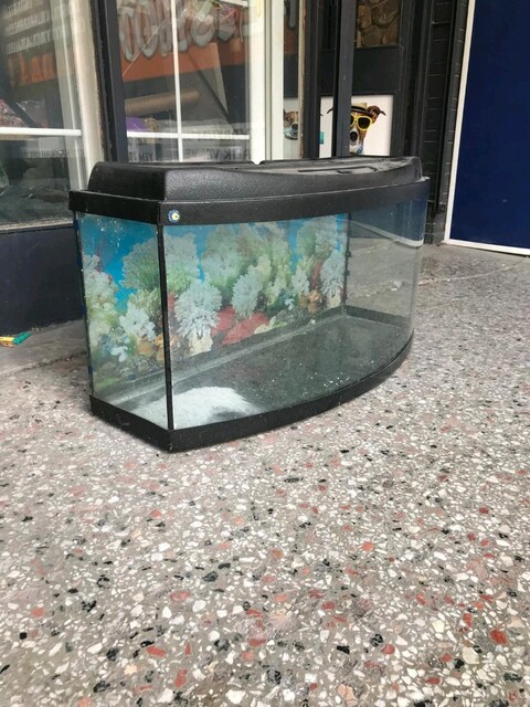 100 litre bombeli akvaryum