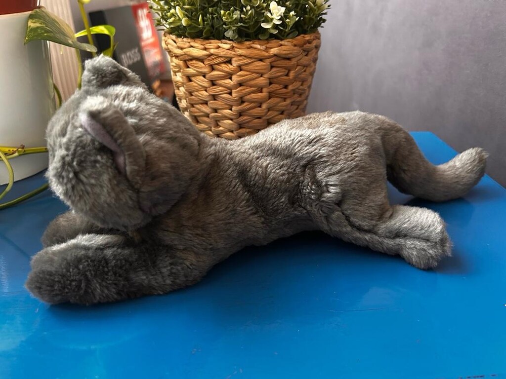 Ikea oyuncak kedi - 2