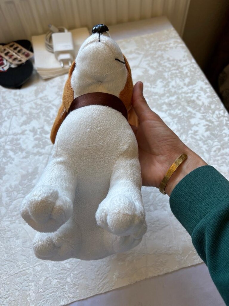 Sevimli Köpek Peluş Oyuncak - 5